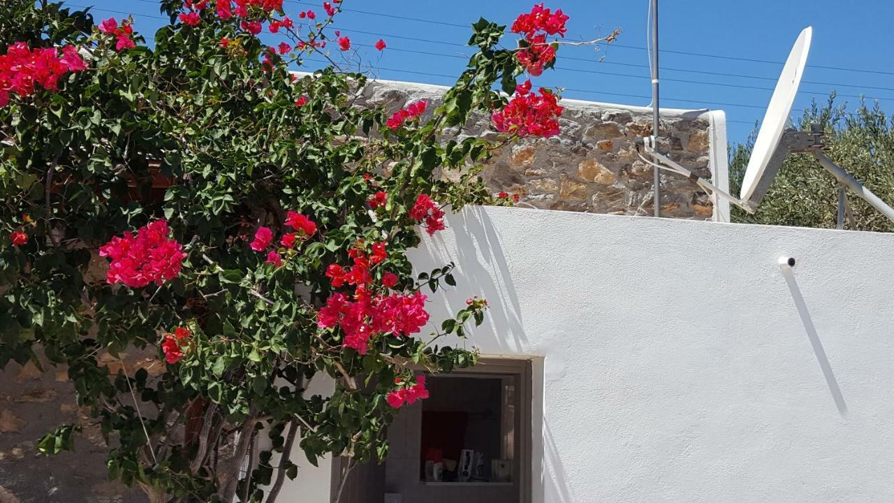 Flora'S Beach And Pool Villa In Syros Liaropá Kültér fotó